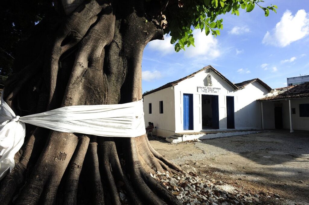 Foto: Ricardo Fernandes / Folha de Pernambuco