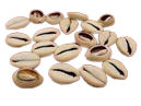 Jogo de Búzios